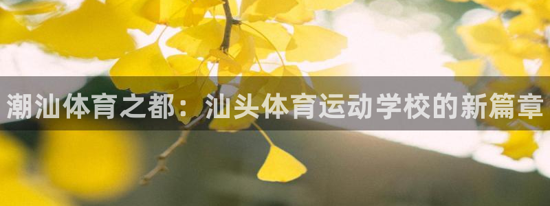 yy易游官方正版app娱乐40996：潮汕体育之都：