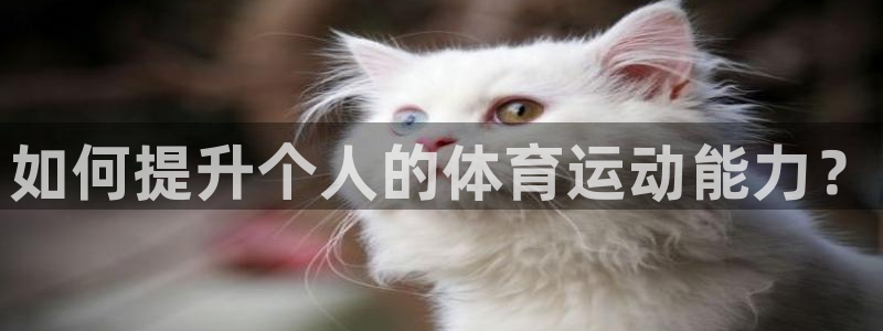 yy易游官方正版app神州：如何提升个人的体育运动能
