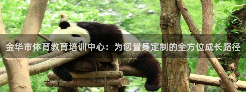 yy易游官网下载平台注册流程视频：金华市体育教育培训