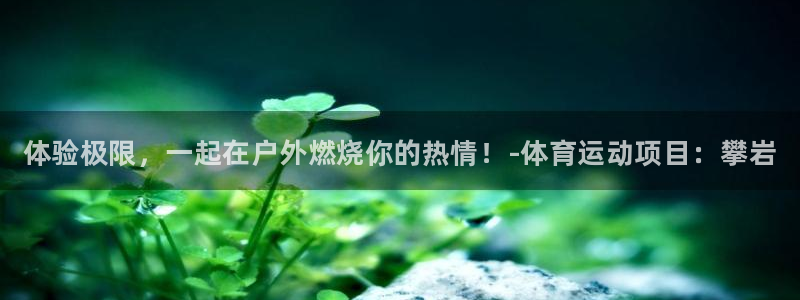 注册yy易游官方正版app：体验极限，一起在户外燃烧