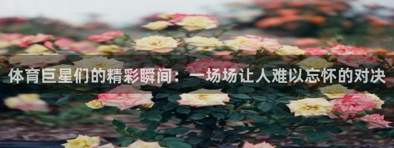 海南yy易游官网下载：体育巨星们的精彩瞬间：一场场让