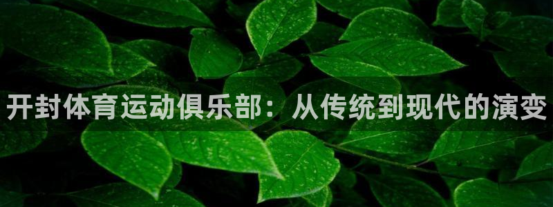 yy易游官网下载平台是正规平台吗安全吗：开封体育运动