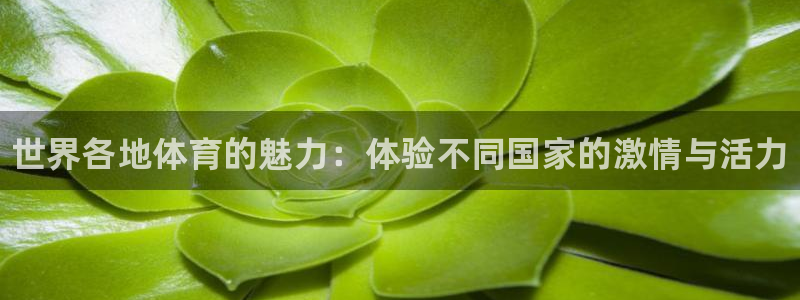 yy易游官网下载招商电话是多少：世界各地体育的魅力：