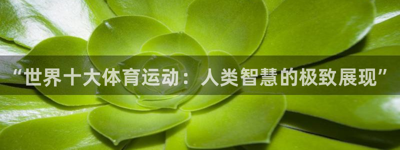 yy易游官方正版app集团官网网址：“世界十大体育运