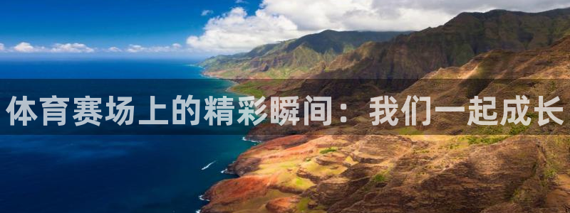 yy易游官方正版app娱乐平台