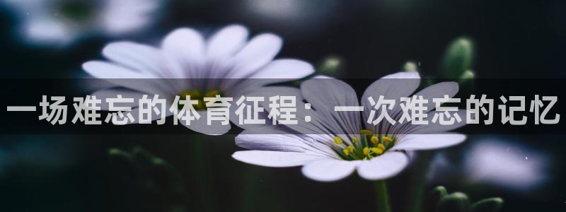 yy易游官网下载招商电话号码查询：一场难忘的体育征程：一次难