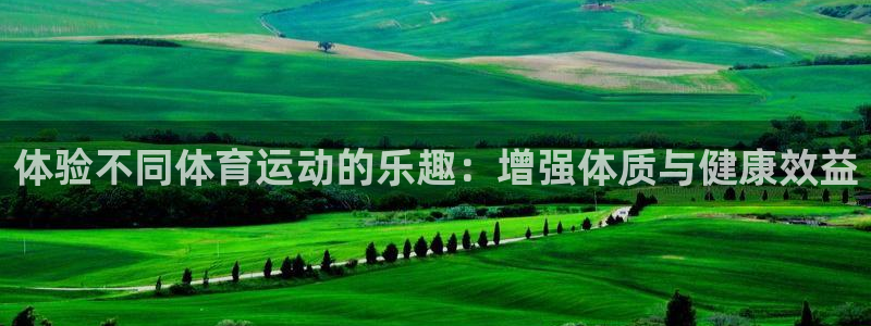 yy易游官方正版app官方：体验不同体育运动的乐趣：