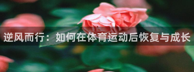 yy易游官网下载平台注册要钱吗是真的吗：逆风而行：如