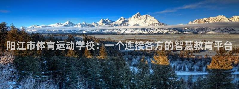 yy易游官方正版app集团官网网址：阳江市体育运动学