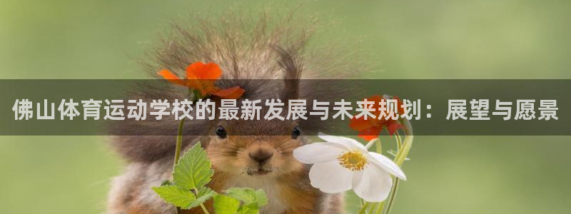 德国yy易游官方正版app集团：佛山体育运动学校的最