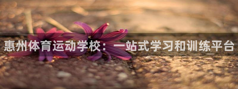 yy易游官网下载平台是正规平台吗知乎：惠州体育运动学