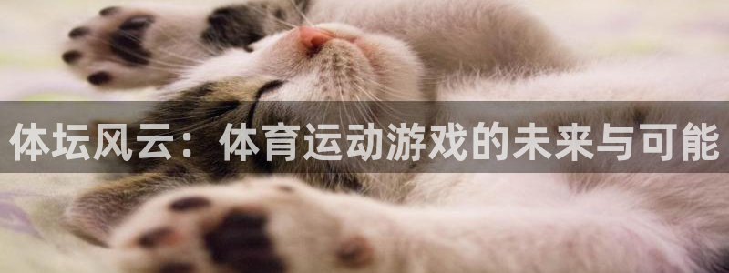yy易游官方正版app娱乐是那个系列的台子：体坛风云