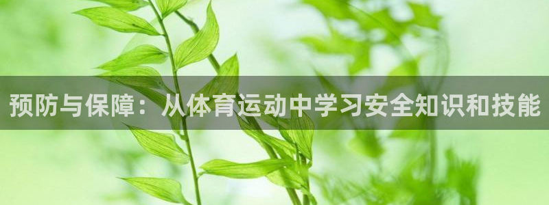 yy易游官方正版app娱乐平台：预防与保障：从体育运