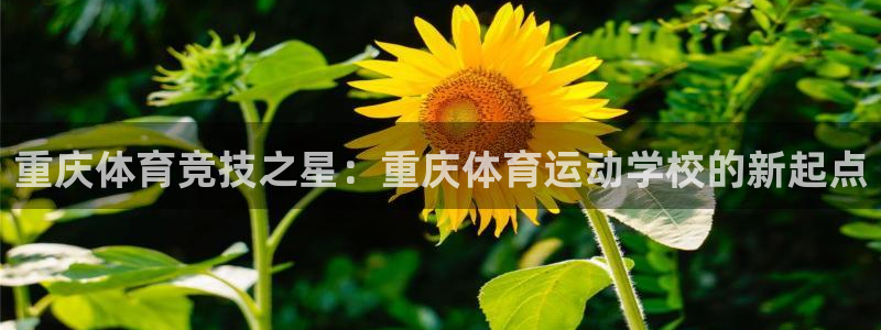 yy易游官网下载开户：重庆体育竞技之星：重庆体育运动学校的新