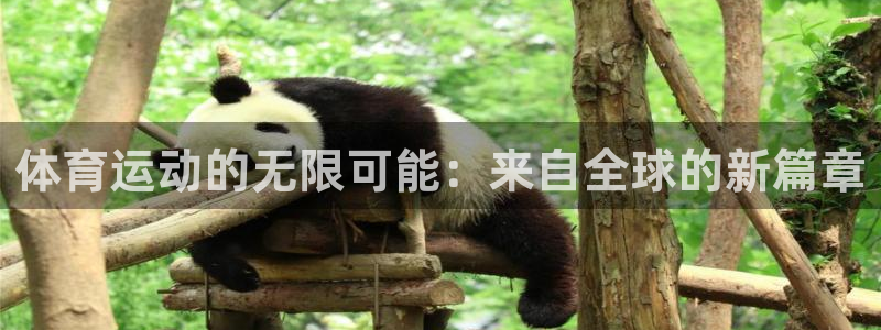 yy易游官方正版app娱乐是那个系列的台子：体育运动的无限可