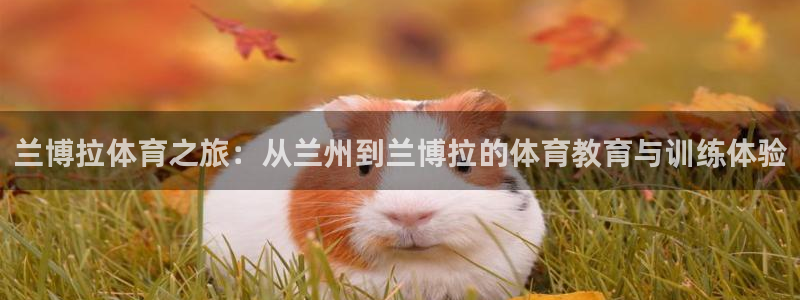 yy易游体育米乐：兰博拉体育之旅：从兰州到兰博拉的体育教育与