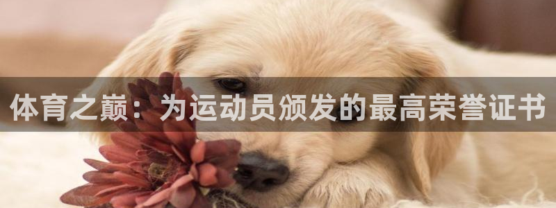 yy易游体育是什么：体育之巅：为运动