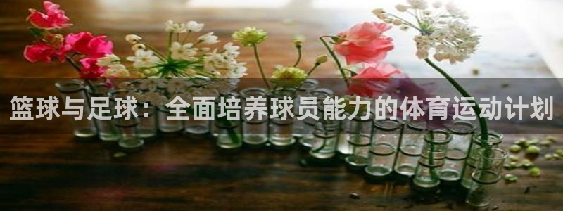 yy易游体育是什么：篮球与足球：全面培养球员能力的体育运动计