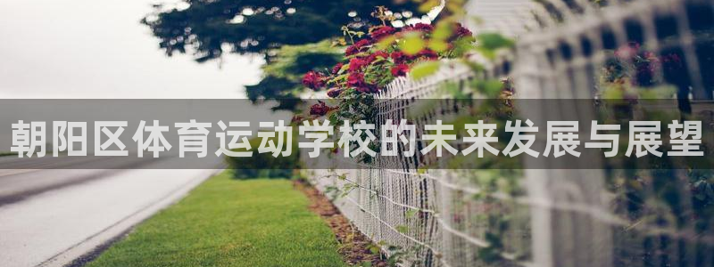 yy易游体育是正规的吗安全吗：朝阳区