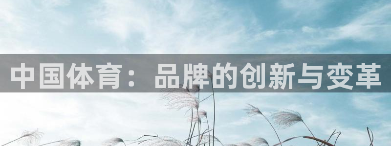 yy易游体育平台能提现吗：中国体育：
