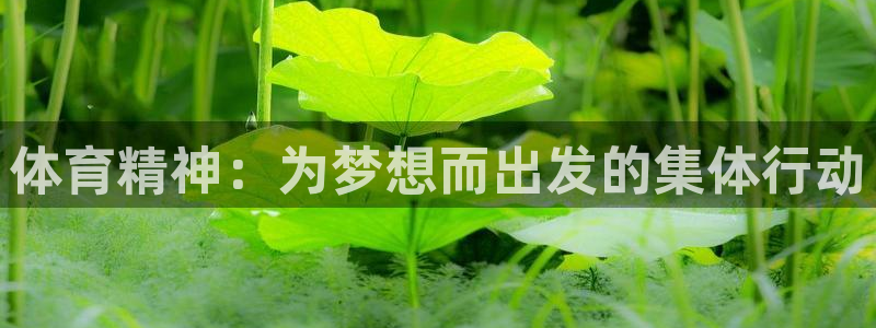 yy易游体育是正规的吗安全吗：体育精神：为梦想而出发的集体行