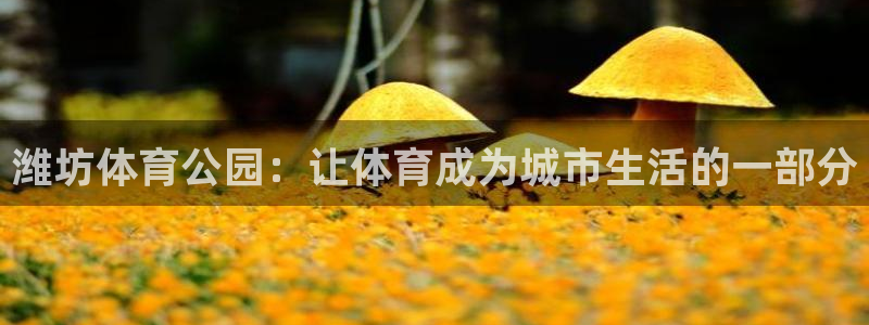 yy易游体育平台能提现吗是真的吗：潍
