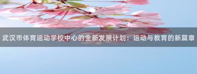  yy易游体育平台：武汉市体育运动学校中心的全新发展计划：运动