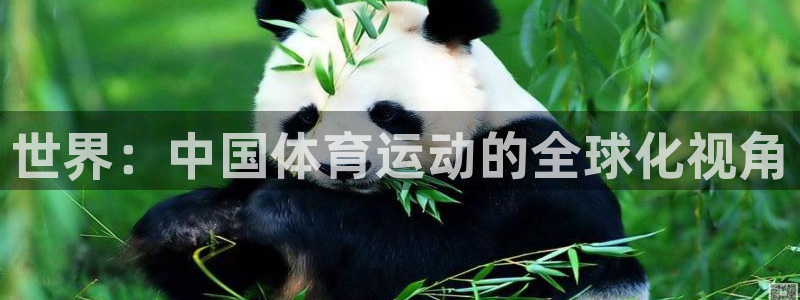 yy易游体育是什么：世界：中国体育运动的全球化视角