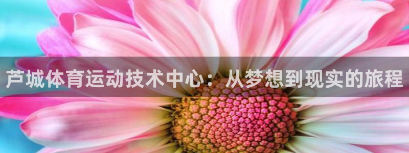 yy易游体育：芦城体育运动技术中心：